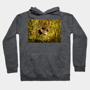 mouse in a mossy hole Hoodie